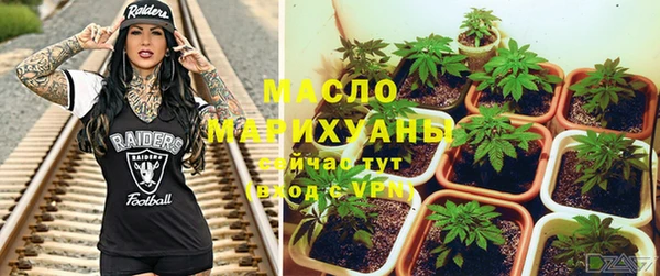 индика Абдулино