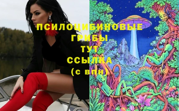 твердый Абинск