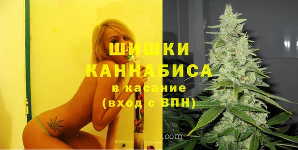 индика Абдулино