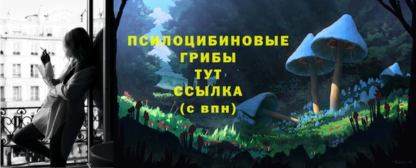 шишки Переславль-Залесский
